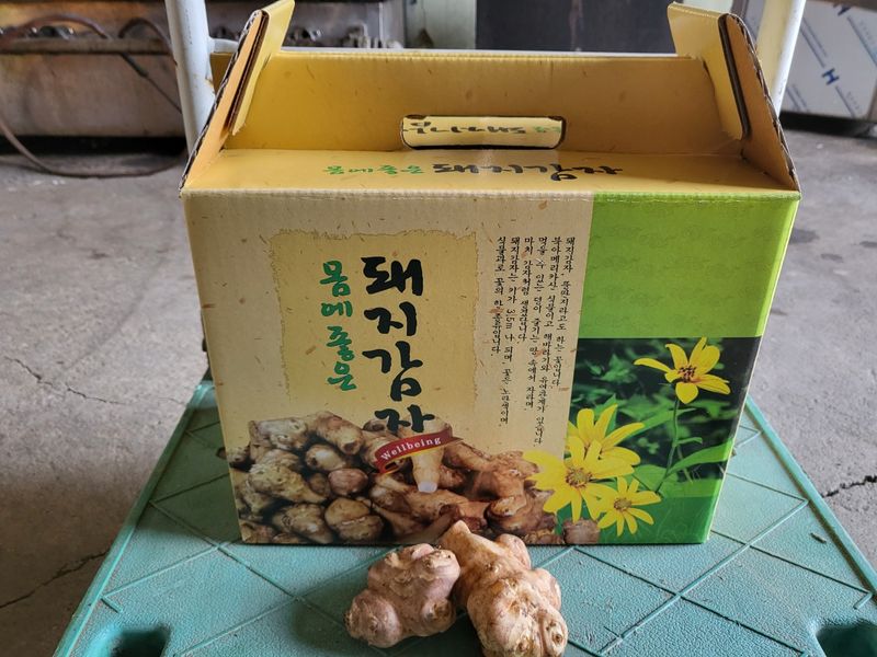 장터 상품 [돼지감자 즙50포] 썸네일