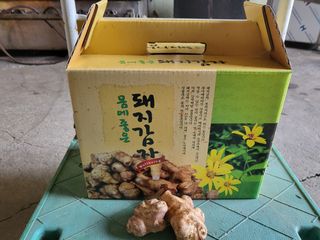 문보라님의 작성글 사진