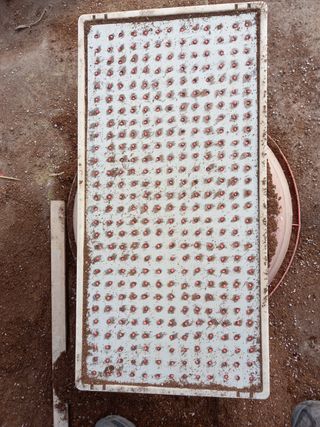 마정숙님의 고추 · 일상 작성글 사진