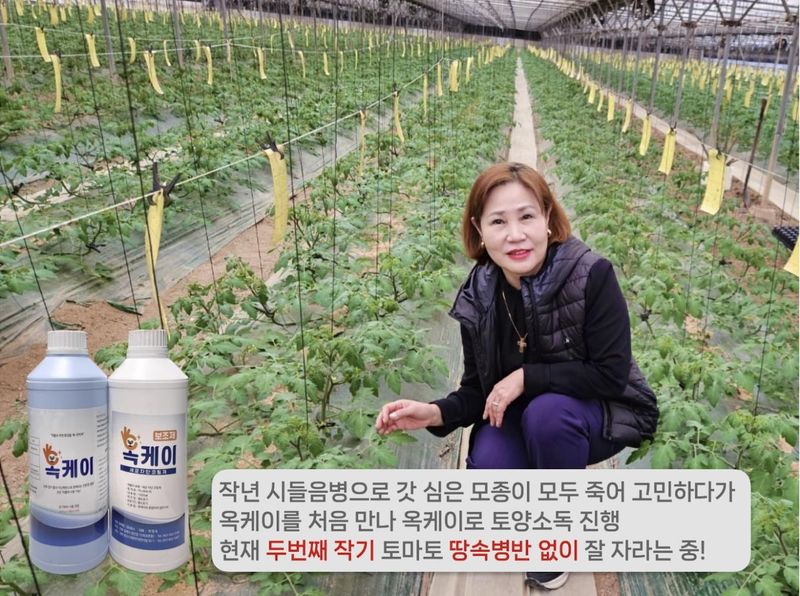 장터 상품 [옥스 옥케이(소독제)] 썸네일