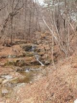 팜모닝 블루베리·자유게시판 게시글 이미지