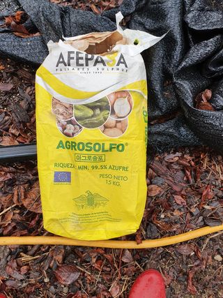 김기자(흰구름농원)님의 블루베리 · 자유게시판 작성글 사진