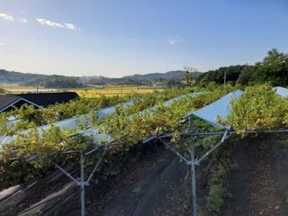 다불산님의 자유주제 · 사진전 작성글 사진