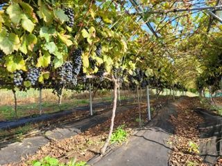 다불산님의 자유주제 · 사진전 작성글 사진