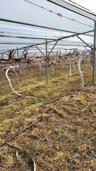 다불산님의 자유주제 · 사진전 작성글 사진