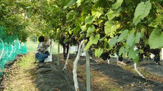다불산님의 자유주제 · 사진전 작성글 사진