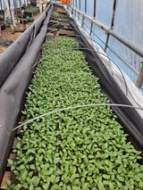 팜모닝 자유주제·사진전 게시글 이미지