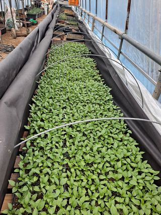 임지묵님의 자유주제 · 사진전 작성글 사진