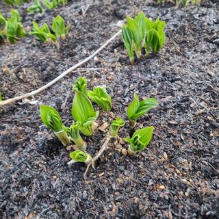 이종권님의 기타작물 · 자유게시판 작성글 사진