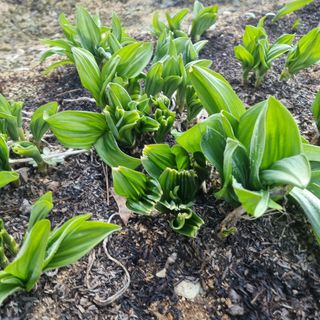 이종권님의 기타작물 · 자유게시판 작성글 사진