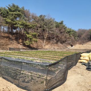 이종권님의 기타작물 · 자유게시판 작성글 사진