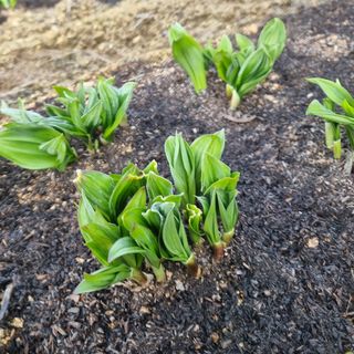 이종권님의 기타작물 · 자유게시판 작성글 사진