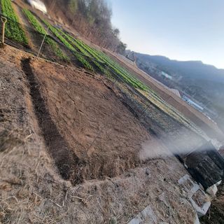 이종권님의 기타작물 · 자유게시판 작성글 사진