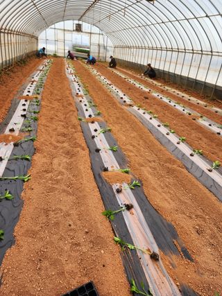 박효식님의 자유주제 · 자유게시판 작성글 사진