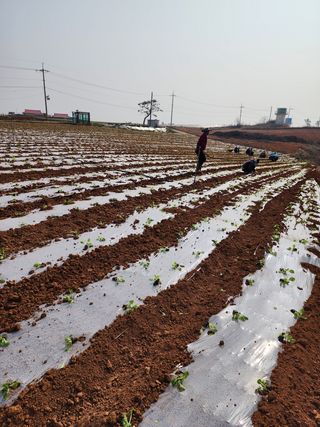 박효식님의 자유주제 · 자유게시판 작성글 사진