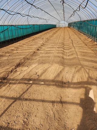 박효식님의 자유주제 · 자유게시판 작성글 사진