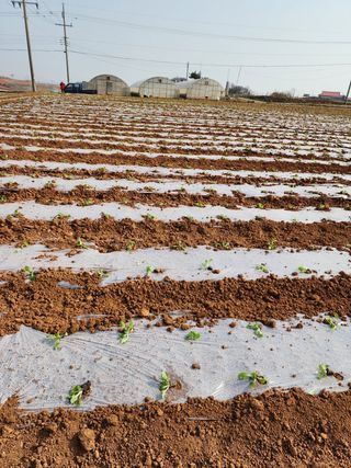 박효식님의 자유주제 · 자유게시판 작성글 사진