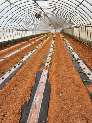 박효식님의 자유주제 · 자유게시판 작성글 사진