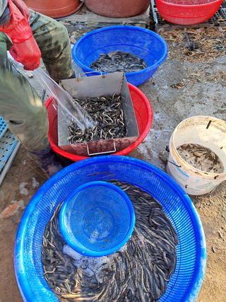 김석현님의 기타작물 · 자유게시판 작성글 사진