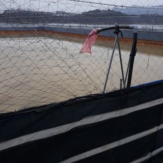 김석현님의 기타작물 · 자유게시판 작성글 사진