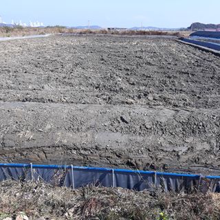 김석현님의 기타작물 · 자유게시판 작성글 사진