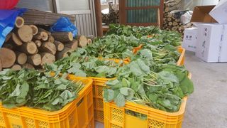 윤미선(농경채인증님의 자유주제 · 사진전 작성글 사진