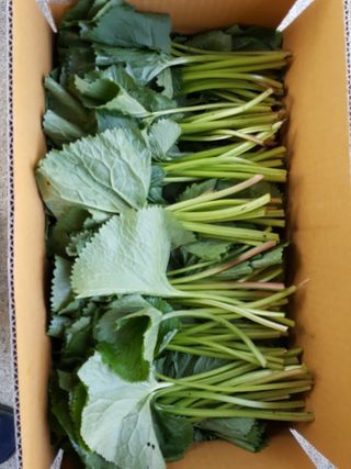 윤미선(농경채인증님의 자유주제 · 사진전 작성글 사진