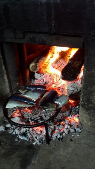 윤미선(농경채인증님의 자유주제 · 사진전 작성글 사진