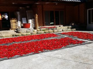 윤미선(농경채인증님의 자유주제 · 사진전 작성글 사진