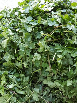 윤미선(농경채인증님의 자유주제 · 사진전 작성글 사진