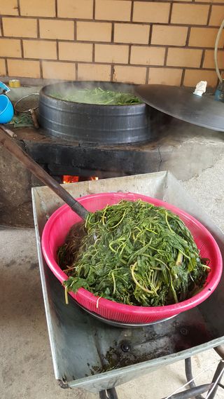 윤미선(농경채인증님의 자유주제 · 사진전 작성글 사진