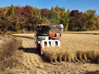 댕이골표영환님의 자유주제 · 사진전 작성글 사진