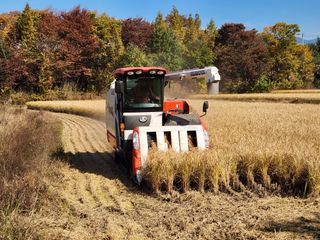 댕이골표영환님의 자유주제 · 사진전 작성글 사진