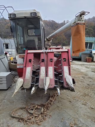 이진구님의 벼 · 자유게시판 작성글 사진