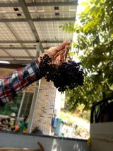 팜모닝 자유주제·자유게시판 게시글 이미지