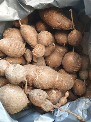 참깨22066님의 자유주제 · 자유게시판 작성글 사진