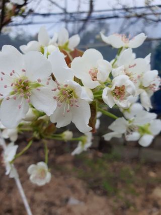 하나라도 소중하게님의 배 · 일상 작성글 사진