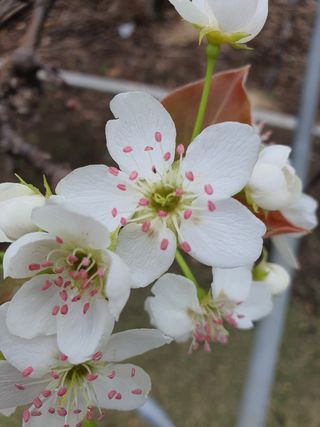 하나라도 소중하게님의 배 · 일상 작성글 사진