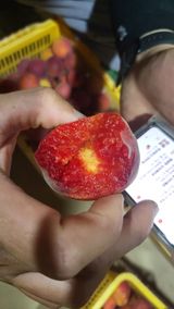 팜모닝 기타작물·자유게시판 게시글 이미지