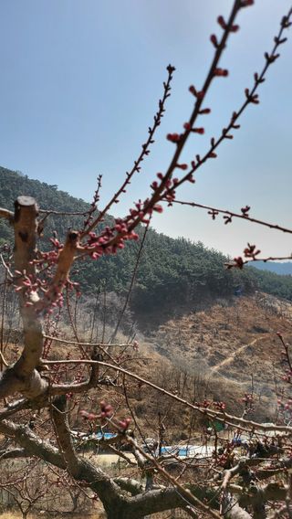 방촌대장님의 기타작물 · 자유게시판 작성글 사진