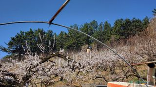 방촌대장님의 기타작물 · 자유게시판 작성글 사진