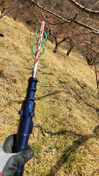 방촌대장님의 기타작물 · 자유게시판 작성글 사진