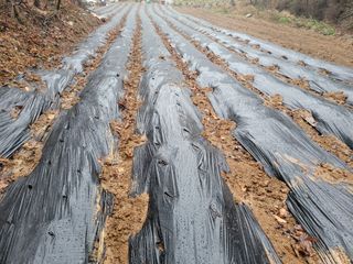 접골목 우슬9628님의 자유주제 · 사진전 작성글 사진