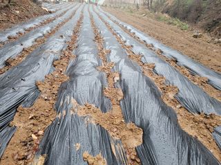 접골목 우슬9628님의 자유주제 · 사진전 작성글 사진