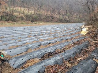 접골목 우슬9628님의 자유주제 · 사진전 작성글 사진