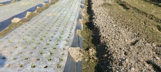 상상그이상님의 기타작물 · 자유게시판 작성글 사진