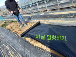 복숭아8135님의 농기계정보 · 자유게시판 작성글 사진