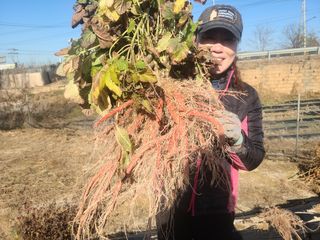 단삼님의 작성글 사진