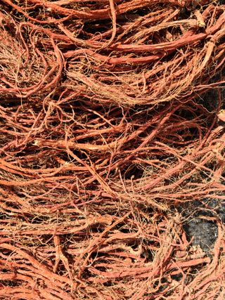 단삼님의 작성글 사진