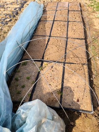 단삼님의 작성글 사진